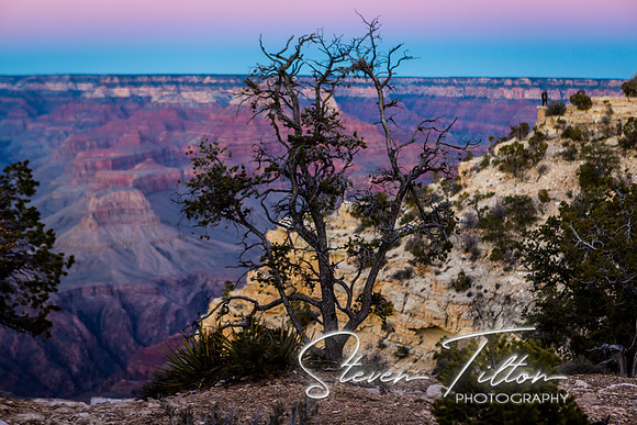 Grand Canyon National Park