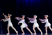 DDI Winter Gala III