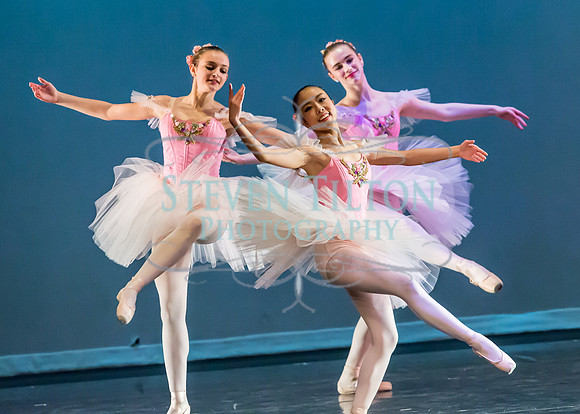 DDI Winter Gala III