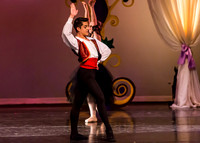 DDI - A Winter Gala