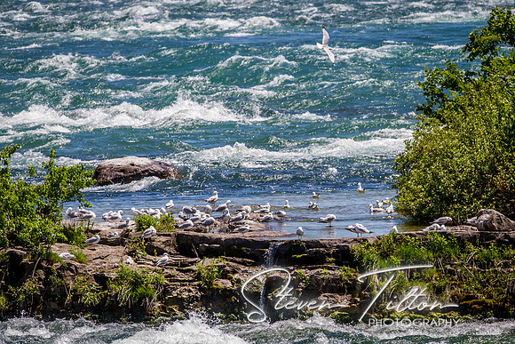 Niagara Falls Canada