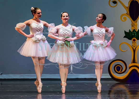 DDI - A Winter Gala