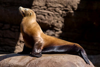 Indianapolis Zoo