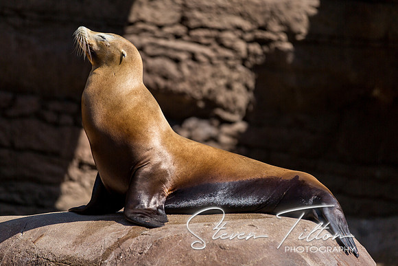 Indianapolis Zoo