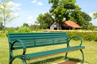 Green Bench