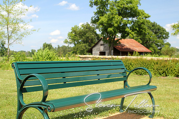 Green Bench