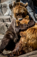 Indianapolis Zoo