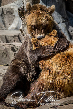 Indianapolis Zoo