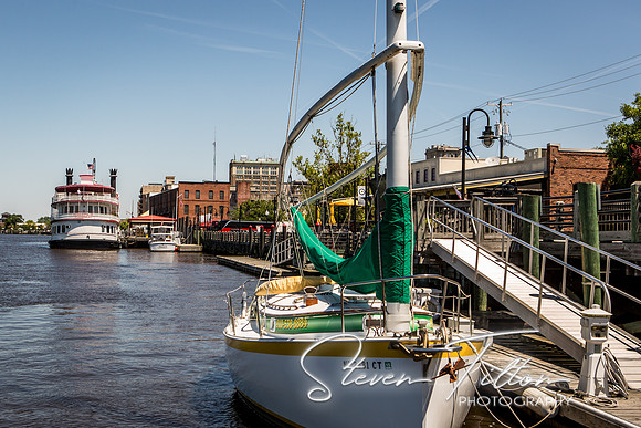 Wilmington River Cruise