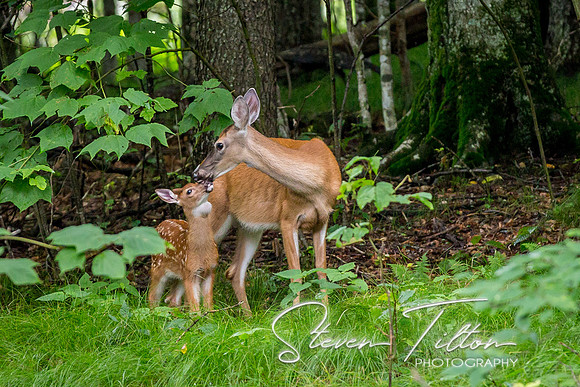 Banner Elk, NC