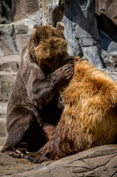 Indianapolis Zoo