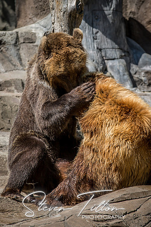 Indianapolis Zoo