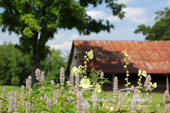 Barn Perspective