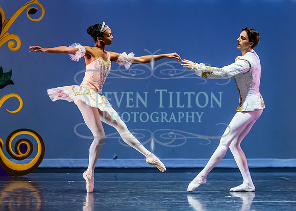 DDI - A Winter Gala