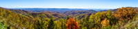 Panoramic Mountain Foilage