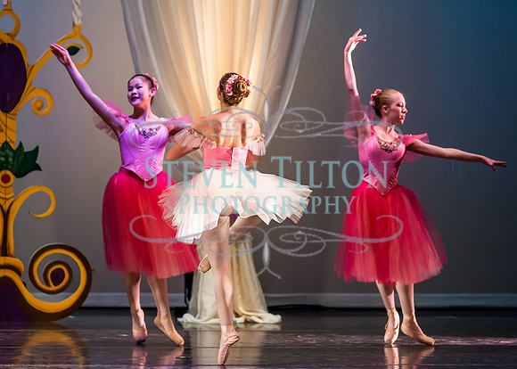 DDI - A Winter Gala