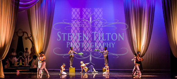 Destiny Winter Gala 2013