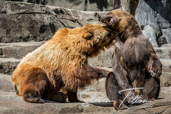 Indianapolis Zoo