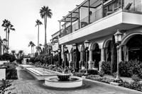 Paradise City, Arizona