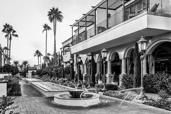 Paradise City, Arizona