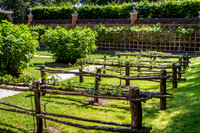 Colonial Williamsburg