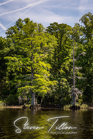 Wilmington River Cruise
