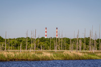 Wilmington River Cruise