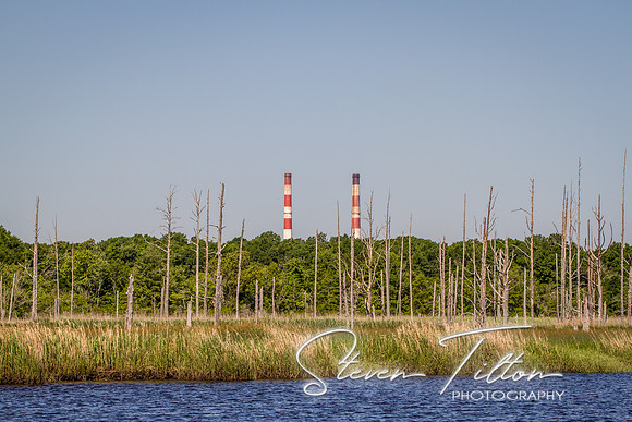 Wilmington River Cruise