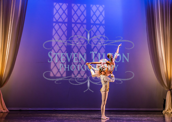 Destiny Winter Gala 2013