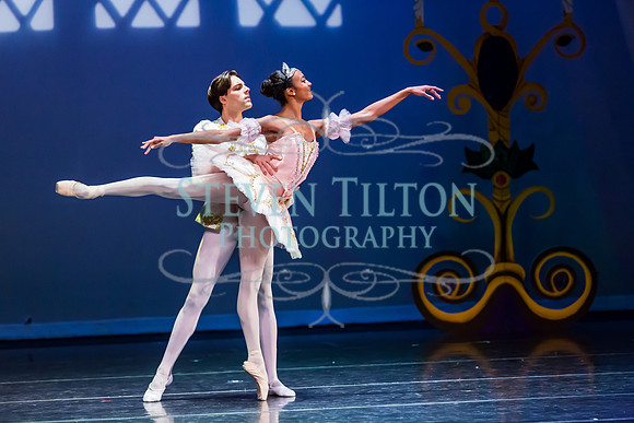 DDI - A Winter Gala