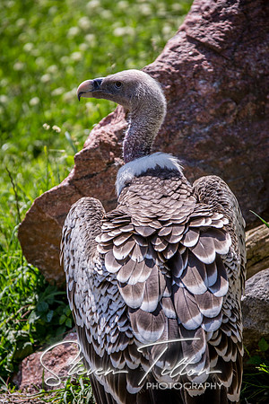 Indianapolis Zoo