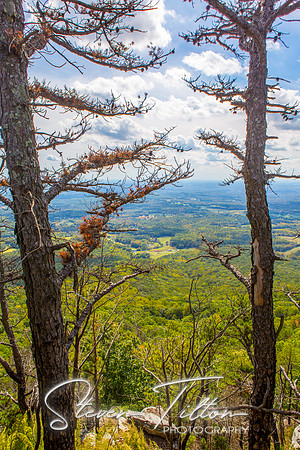 Pilot Mountain