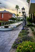 Paradise City, Arizona