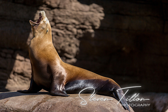 Indianapolis Zoo