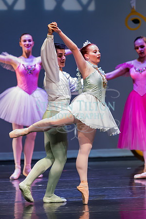 DDI - A Winter Gala