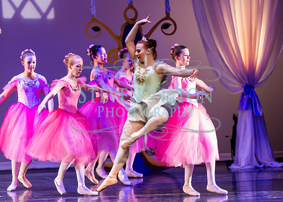 DDI - A Winter Gala