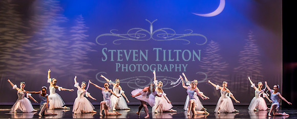 Destiny Winter Gala 2013