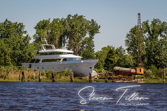 Wilmington River Cruise