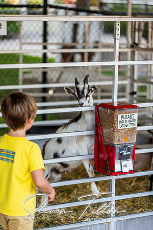 Indiana State Fair