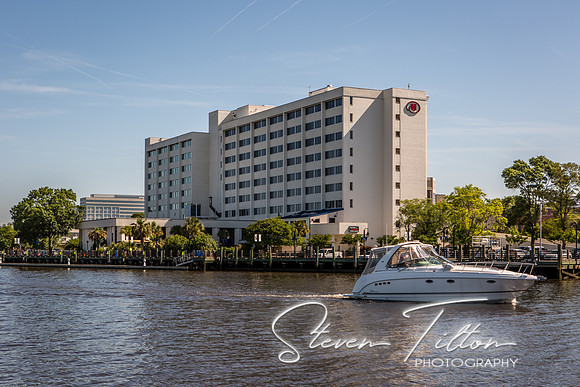 Wilmington River Cruise
