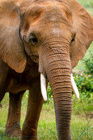 Asheboro Zoo