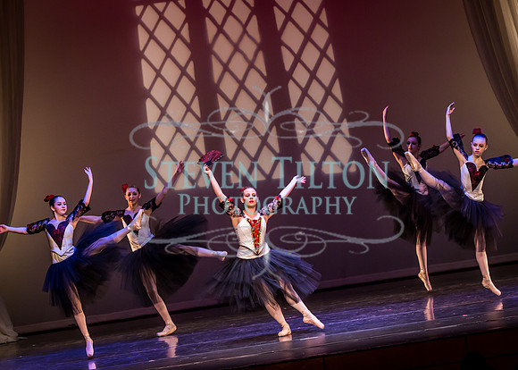 Destiny Winter Gala 2013