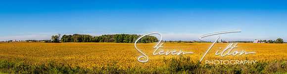 Michigan Landscape