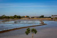 Chao Phraya River Cruise