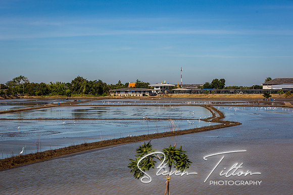 Chao Phraya River Cruise