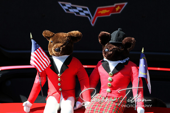 Teddy Bears