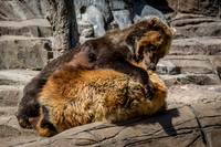Indianapolis Zoo