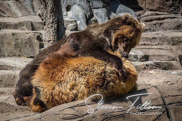 Indianapolis Zoo