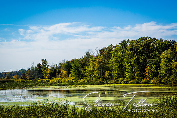 Michigan Landscape