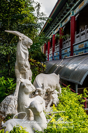 Hong Kong Travels